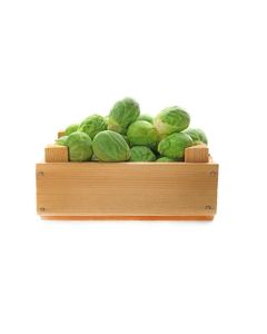BRUSSEL SPROUTS FRESH HOLLAND 5KG