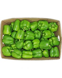 CAPSICUM GREEN 5KG