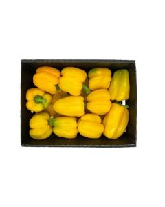 CAPSICUM YELLOW 4KG