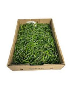 CHILLI GREEN LONG MIDDLE EAST 10KG