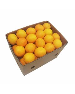 ORANGE VALENCIA EGYPT 15KG