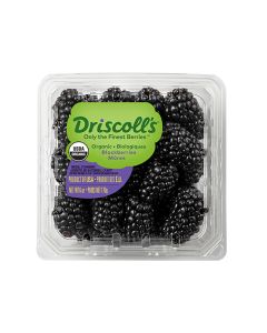BLACKBERRY DRISCOLLS 12X125GM                    