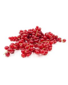 RED CURRANT FRESH 12x125gm                                                                               