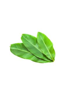 BANANA LEAVES INDIA 2.2KG                                                                                       
