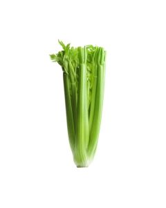 CELERY STICK 5KG                                                                                  