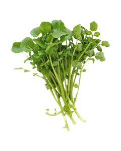 WATER CRESS FRESH UAE 1KG                                                                             