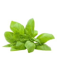 BASIL FRESH UAE 1KG                            