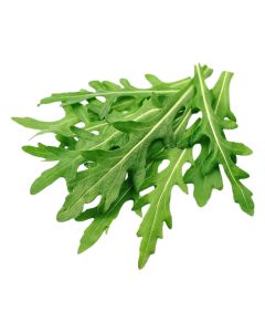 BABY ROCCA ITALY 9X125GM                                                                           