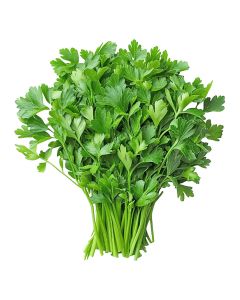 CORIANDER LEAVES 1KG                                                                               
