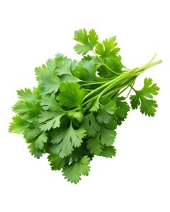 CHERVIL FRESH HOLLAND 1KG                                    