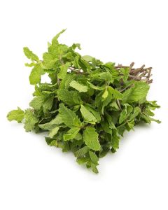MINT LEAVES FRESH 1KG                                                                                   