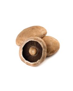 MUSHROOM PORTOBELLO HOLLAND 2KG