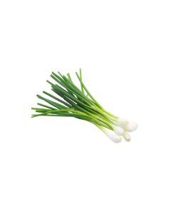 SPRING ONION 1KG                                                                                    