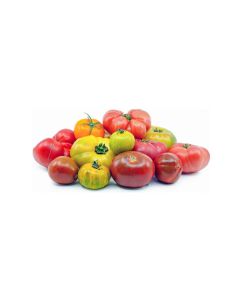 TOMATO HEIRLOOM HOLLAND 3.5KG