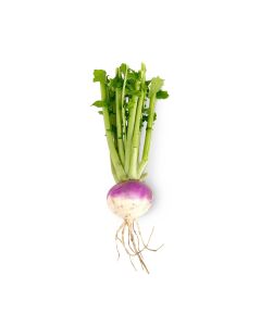 TURNIPS 3KG                                                                                             