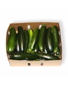 ZUCCHINI GREEN FRESH UAE 10KG